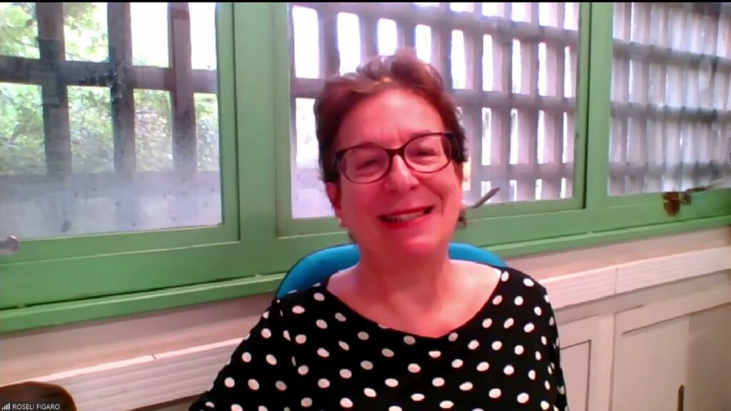 Roseli Fígaro, Periodista, docente e investigadora